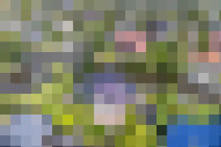 Ankersmitterij 10 Workum thumbnail 63