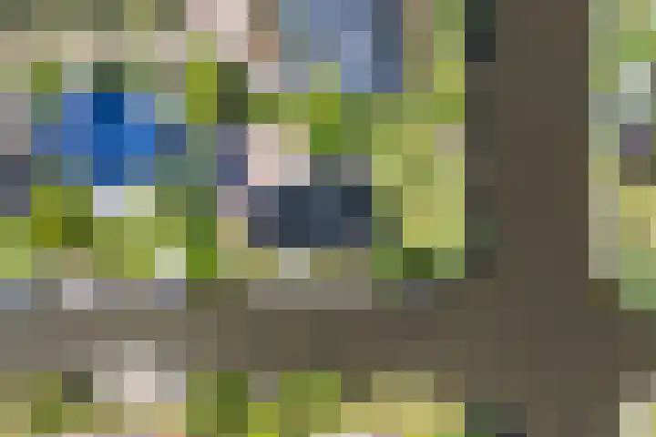 Ankersmitterij 10 Workum thumbnail 64