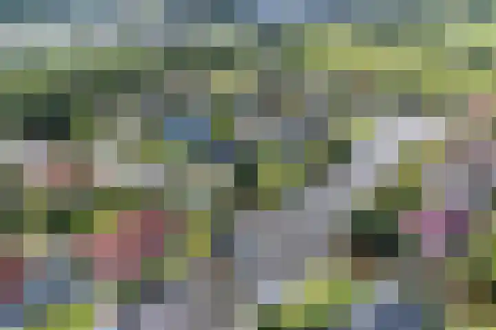 Ankersmitterij 10 Workum thumbnail 65