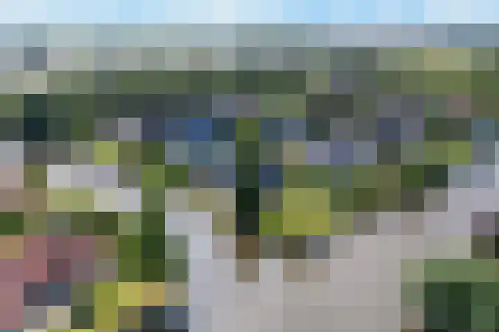 Ankersmitterij 10 Workum thumbnail 67