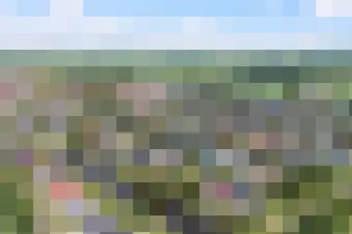 Ankersmitterij 10 Workum thumbnail 69