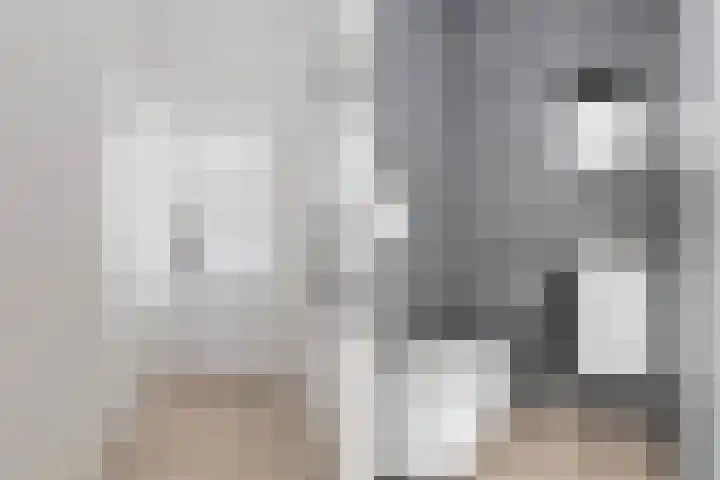 Ankersmitterij 10 Workum thumbnail 8