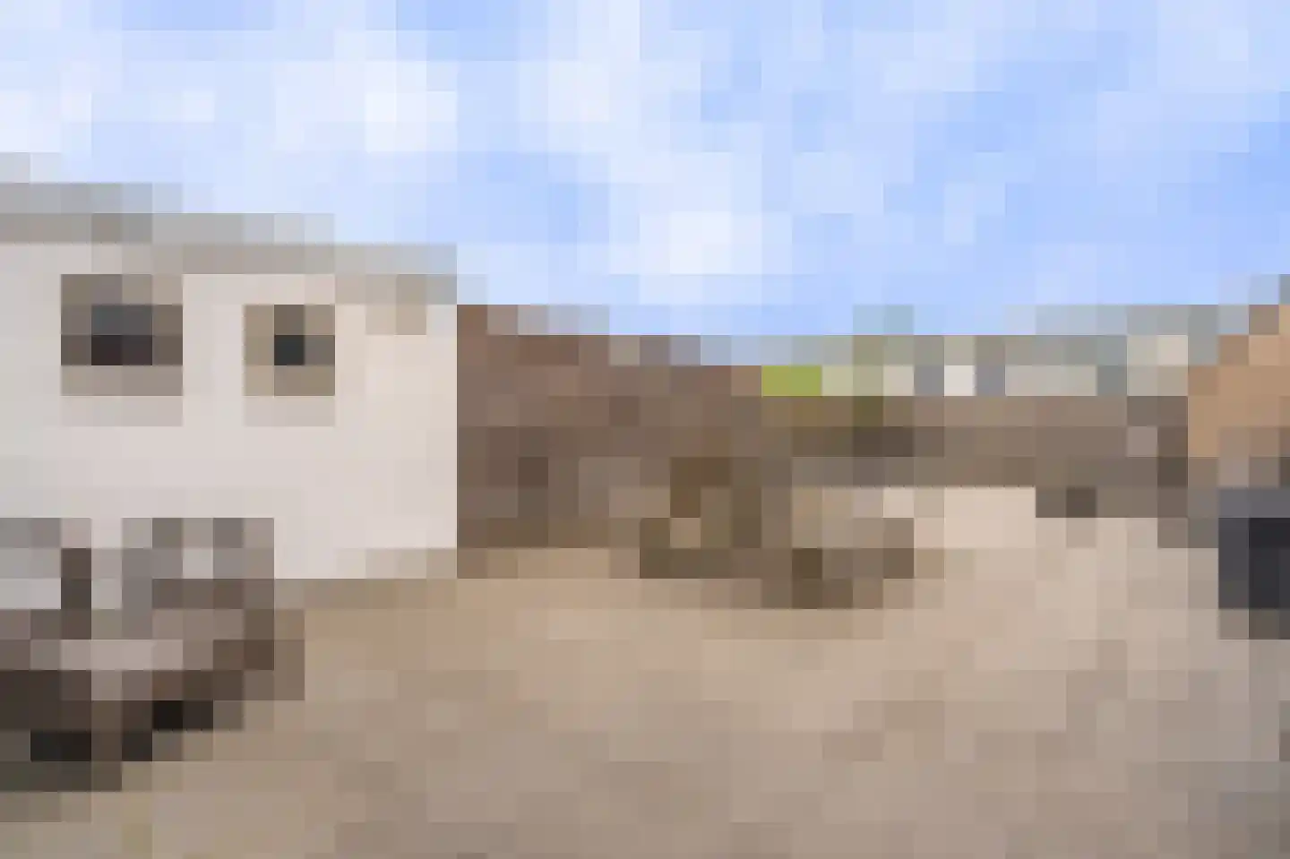 Ankerstraat 1 Delfzijl thumbnail 7