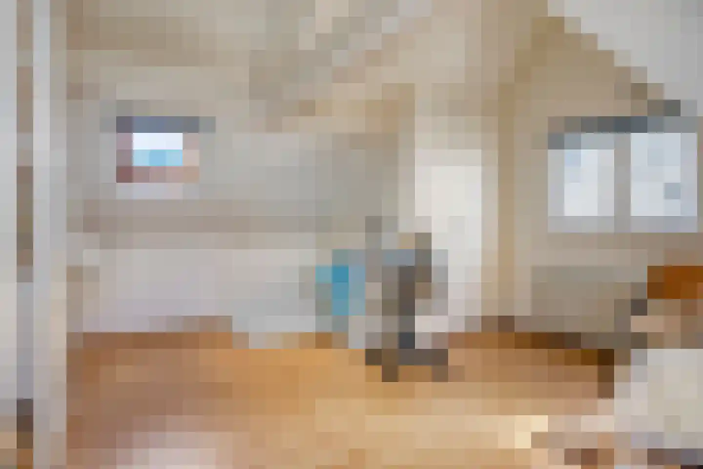 Ankerstraat 14 Den Haag thumbnail 8