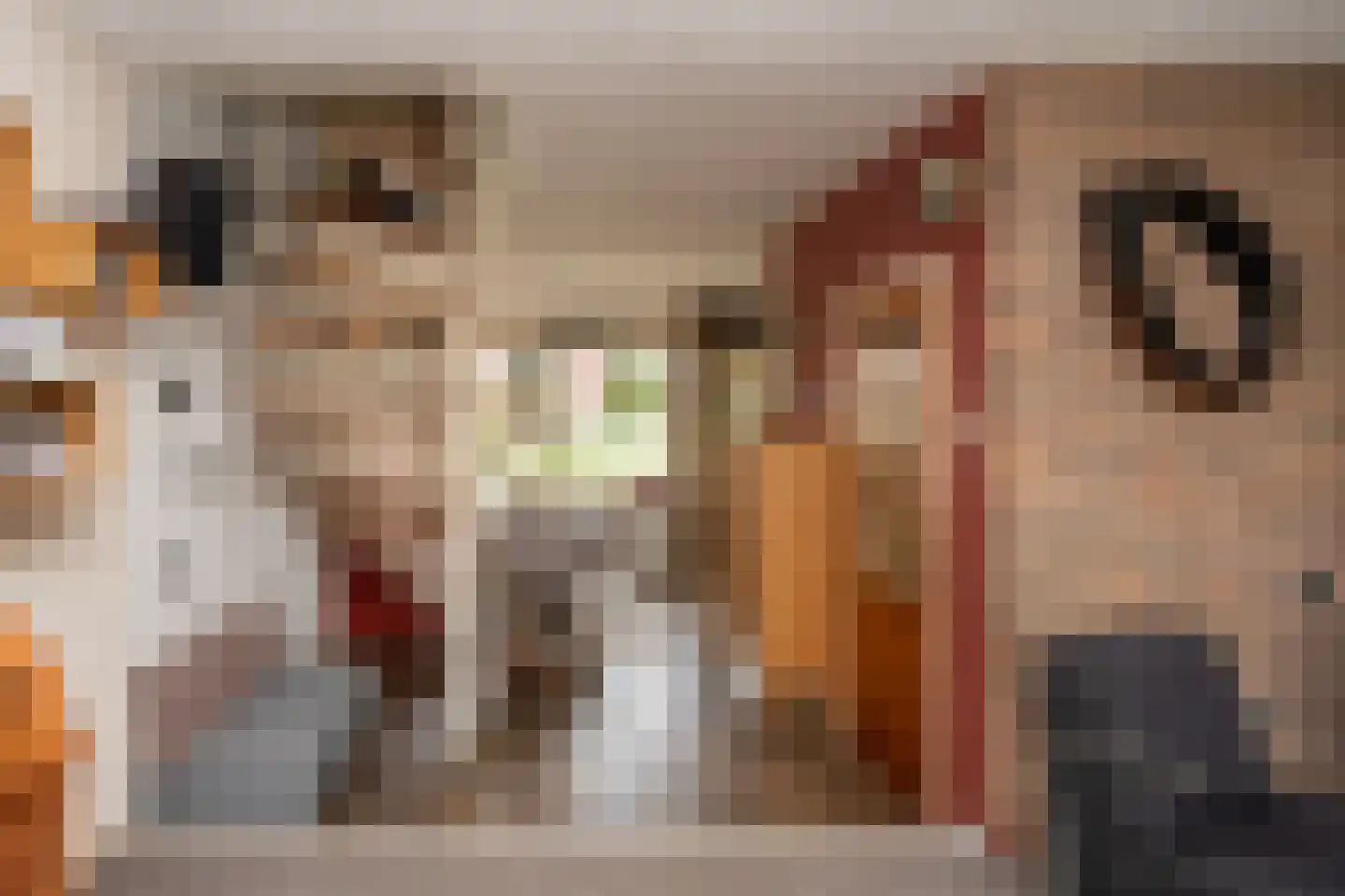 Ankerstraat 19 Oosterend thumbnail 11