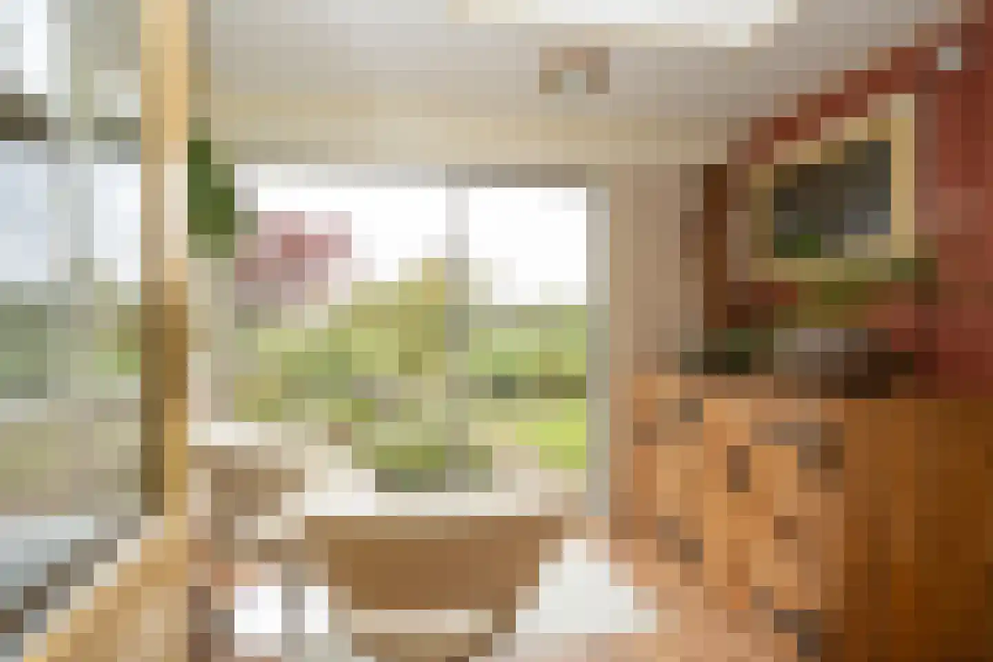 Ankerstraat 19 Oosterend thumbnail 21