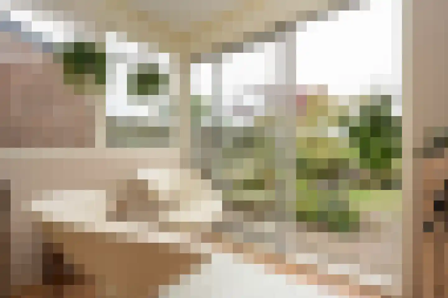 Ankerstraat 19 Oosterend thumbnail 23
