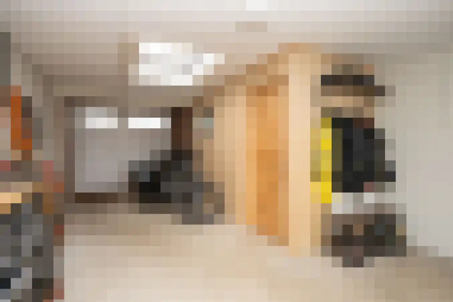 Ankerstraat 19 Oosterend thumbnail 28