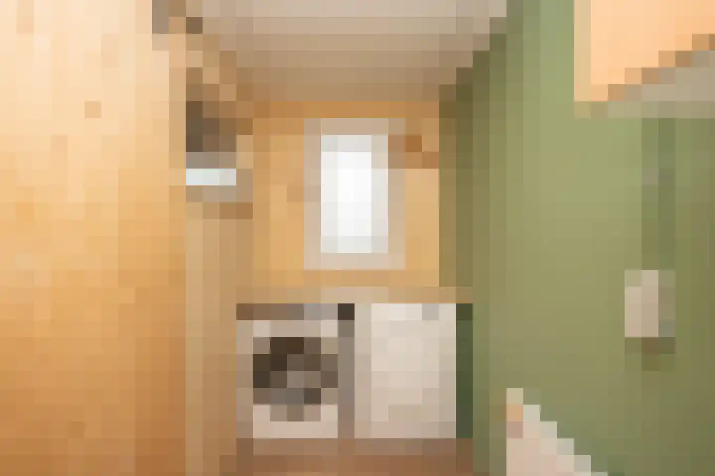 Ankerstraat 19 Oosterend thumbnail 30