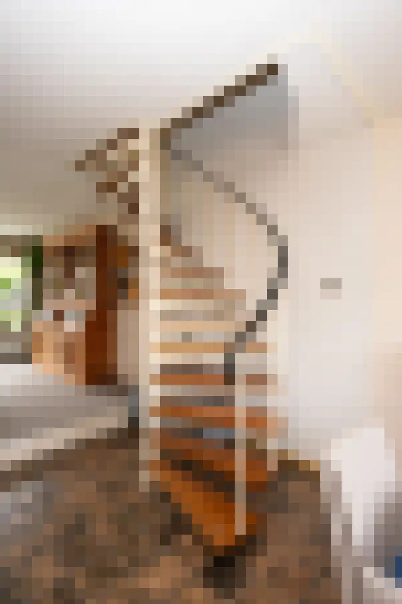 Ankerstraat 19 Oosterend thumbnail 33