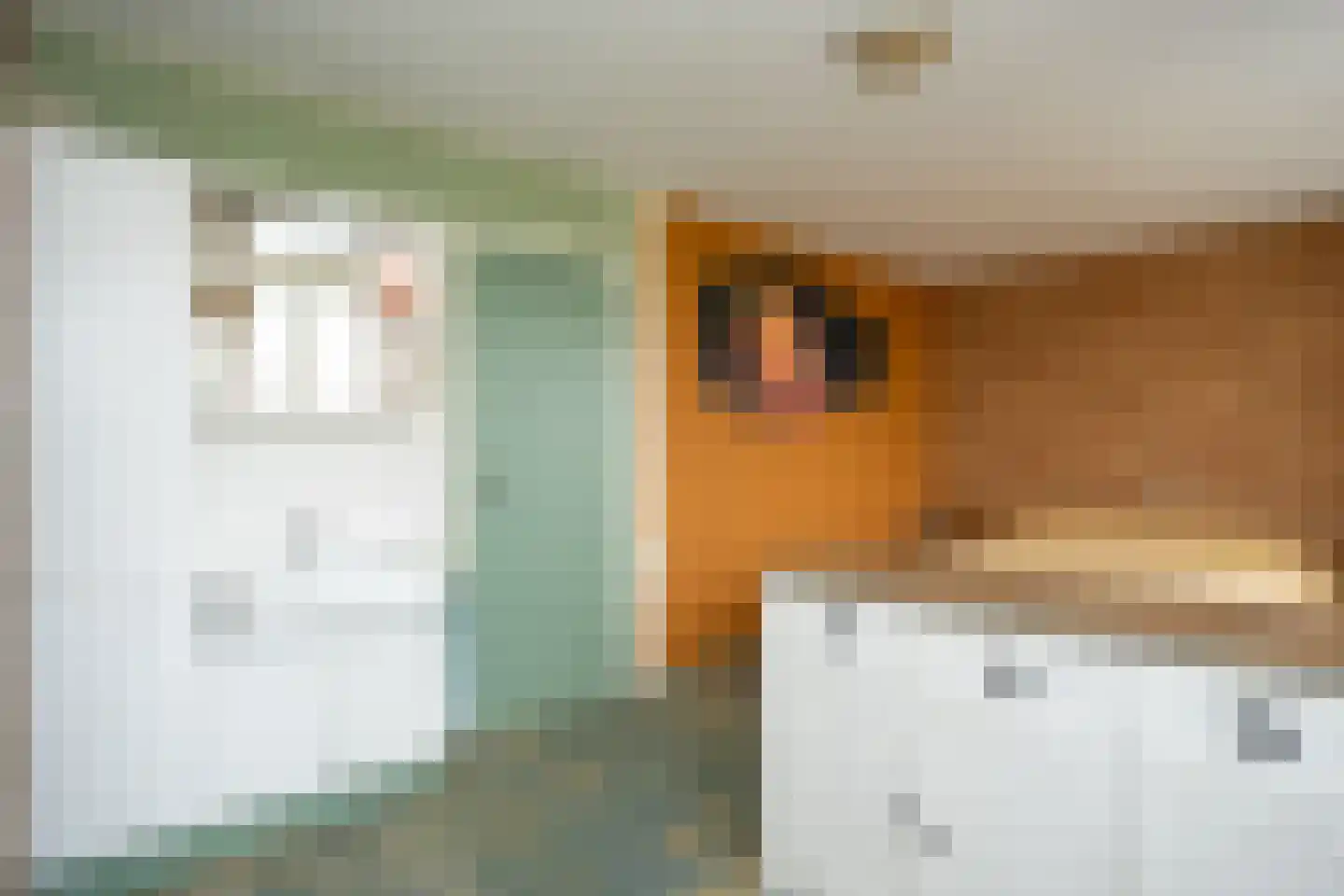 Ankerstraat 19 Oosterend thumbnail 37