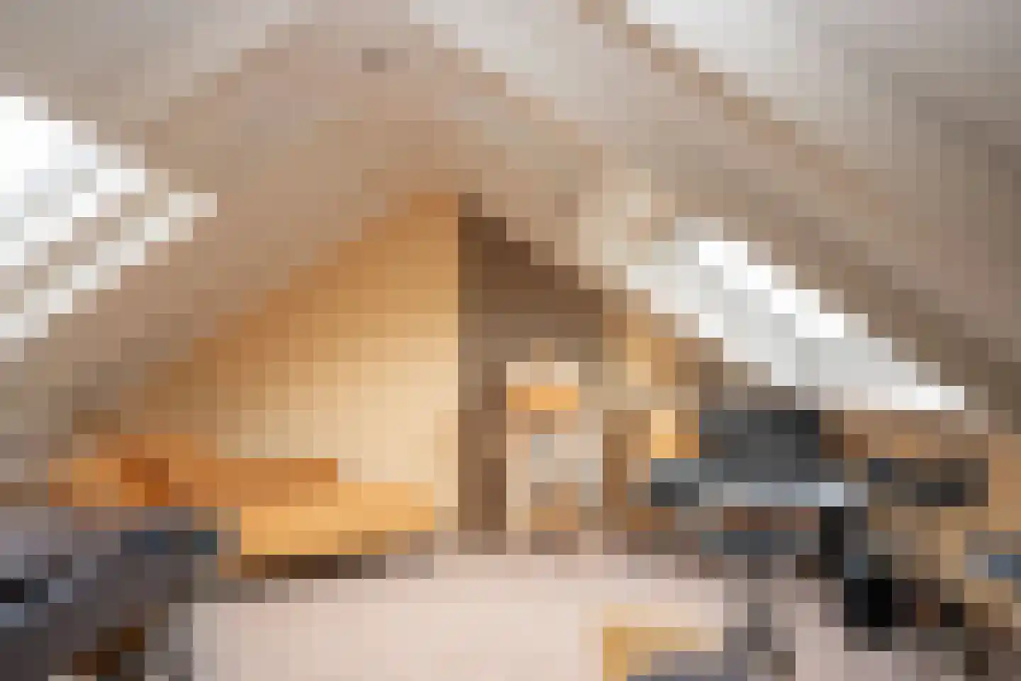 Ankerstraat 19 Oosterend thumbnail 46