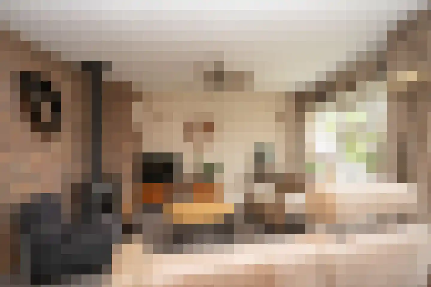 Ankerstraat 19 Oosterend thumbnail 6