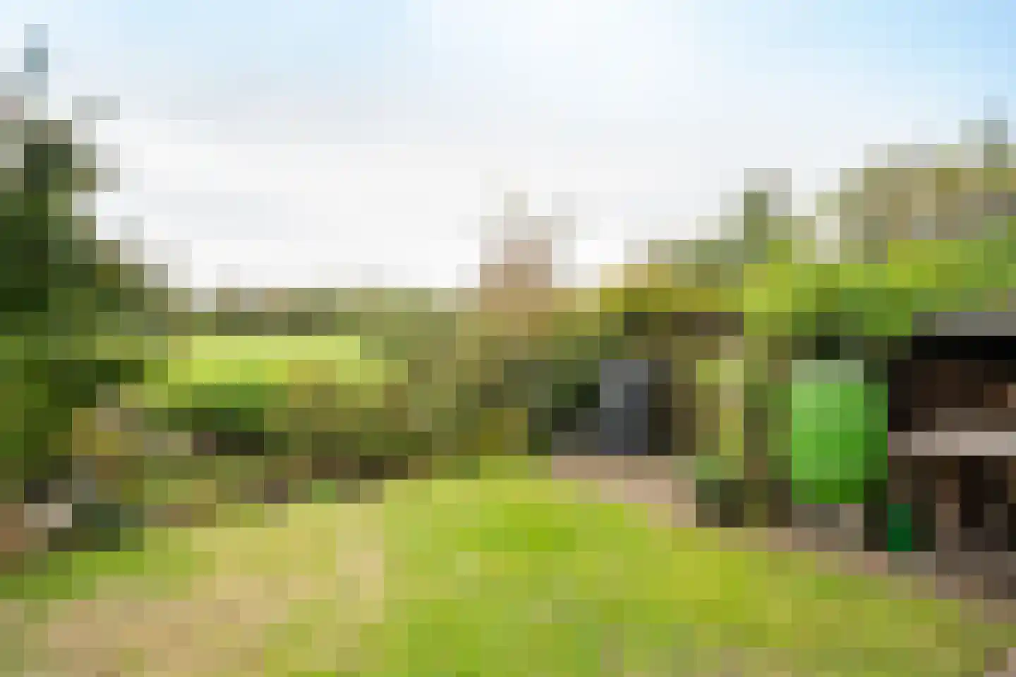 Ankerstraat 19 Oosterend thumbnail 62