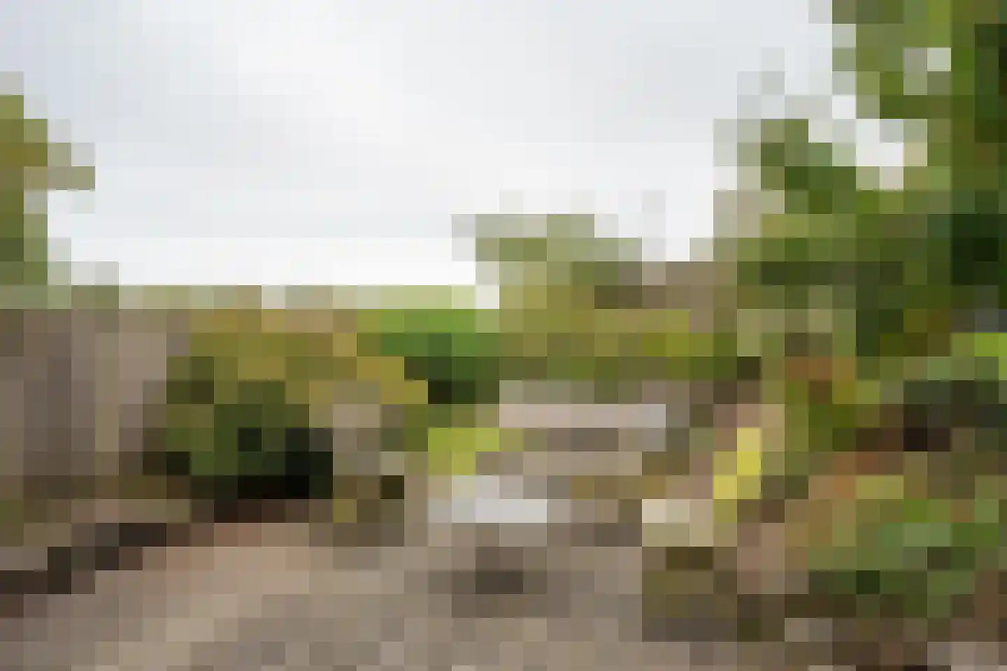 Ankerstraat 19 Oosterend thumbnail 63