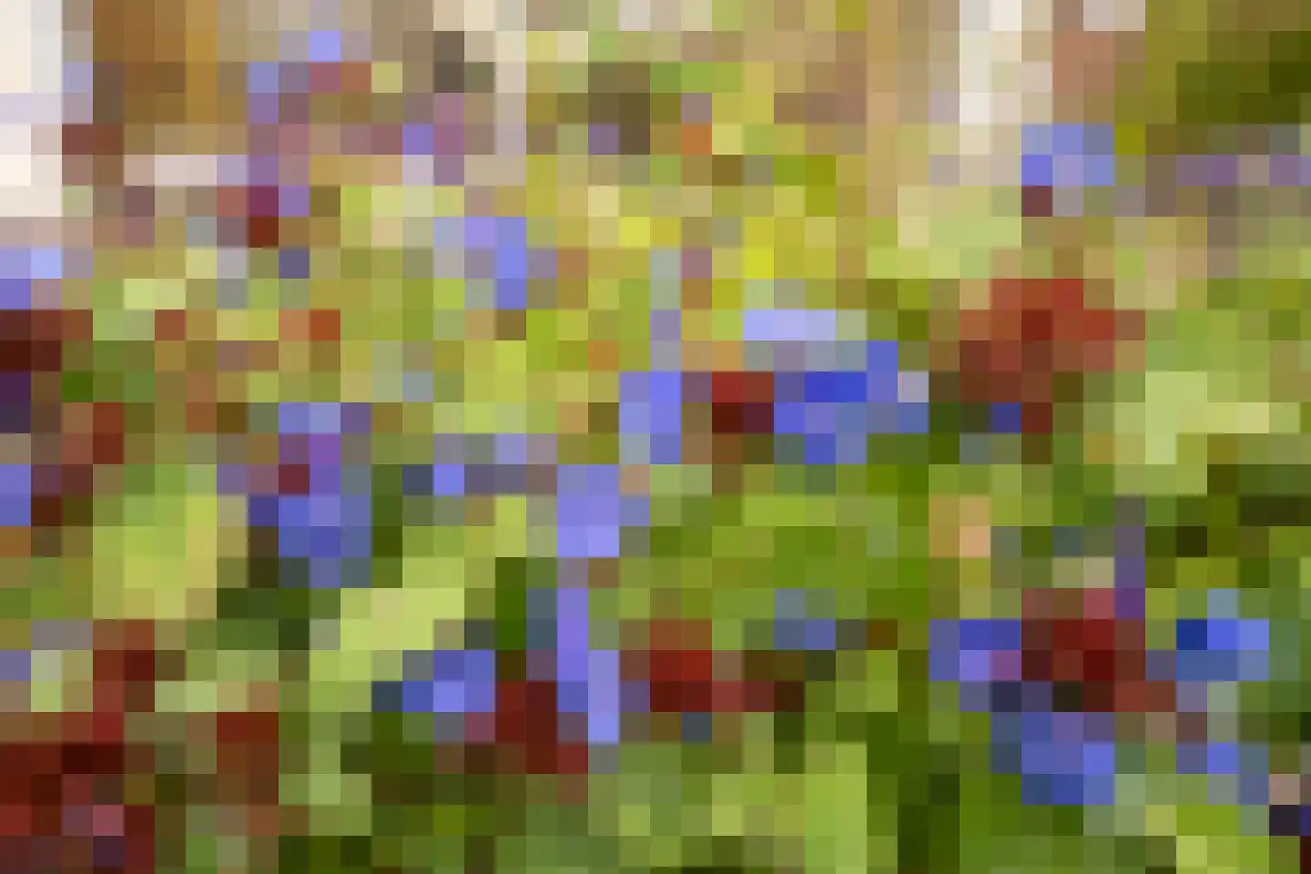 Ankerstraat 19 Oosterend thumbnail 64
