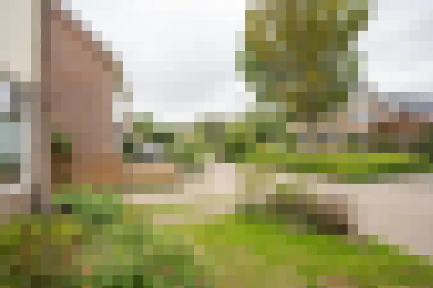 Ankerstraat 19 Oosterend thumbnail 69