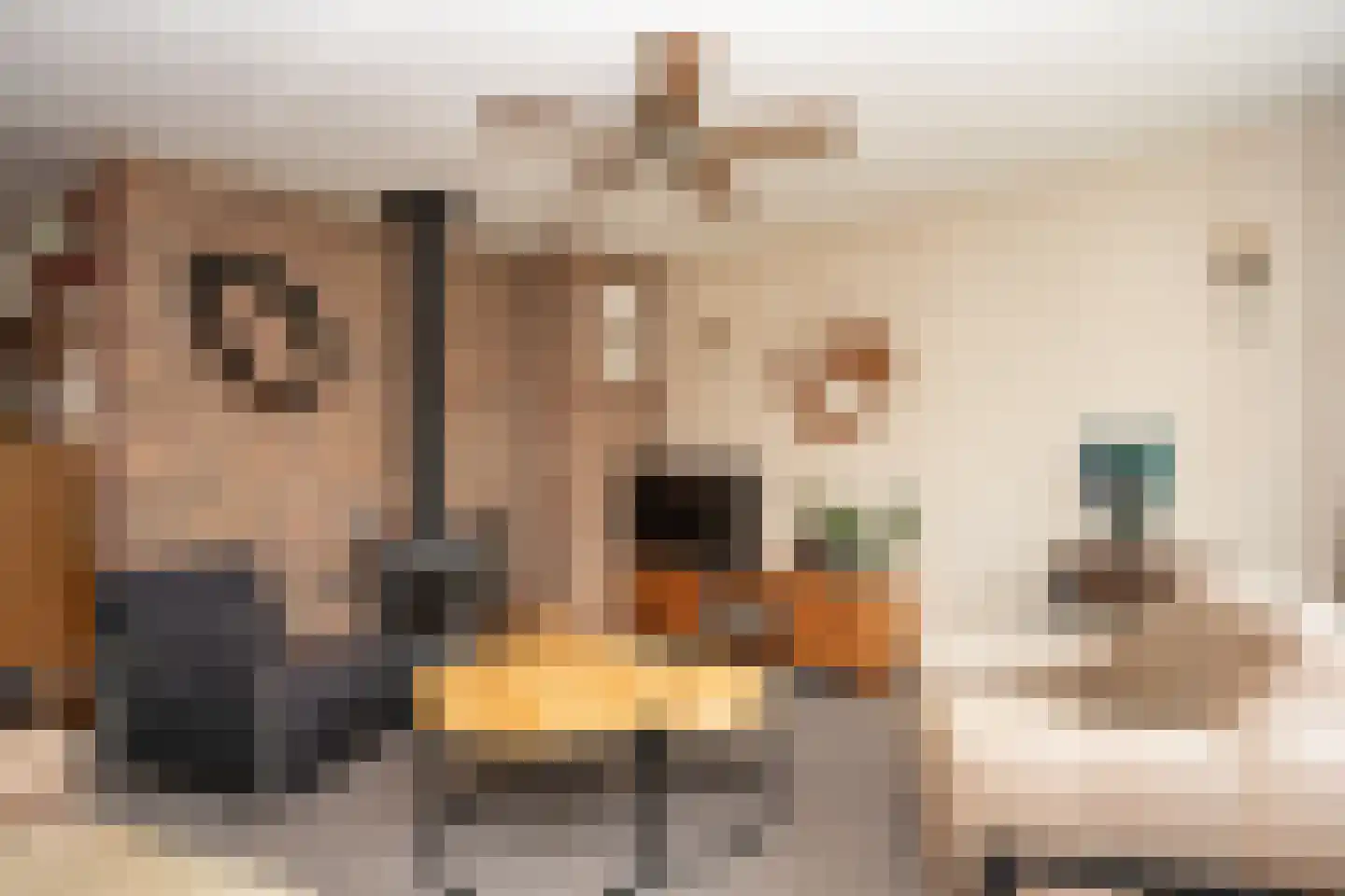 Ankerstraat 19 Oosterend thumbnail 7