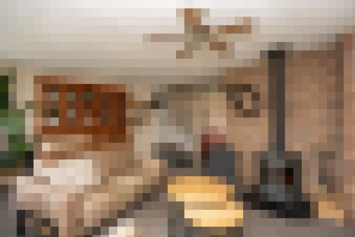 Ankerstraat 19 Oosterend thumbnail 8