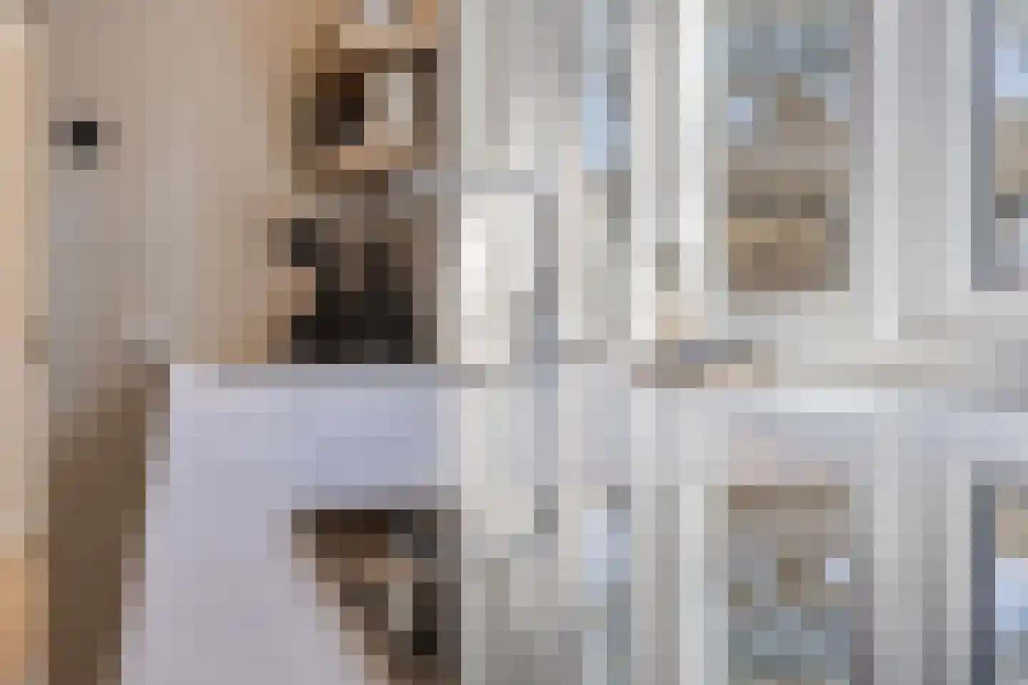 Ankerstraat 26 Epe thumbnail 12