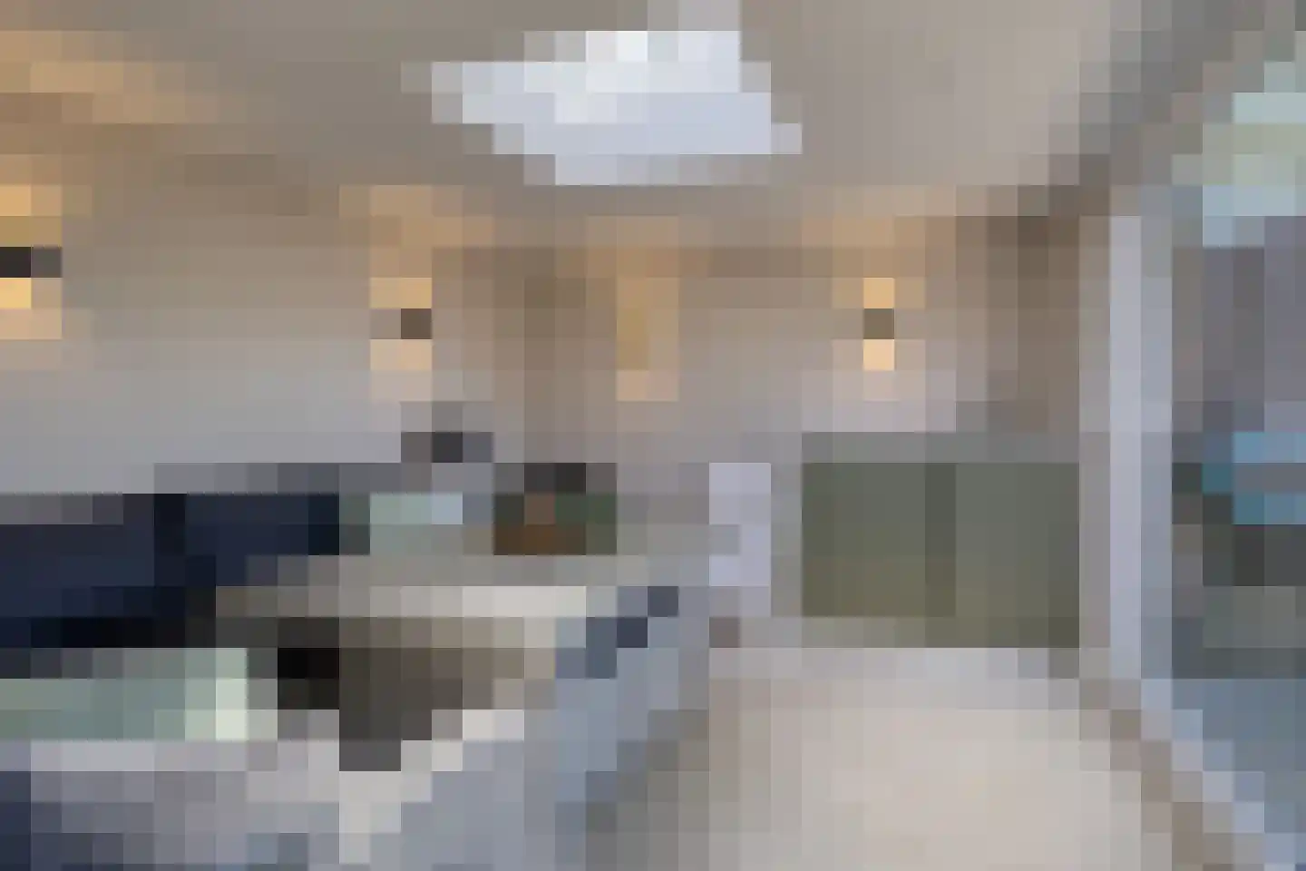 Ankerstraat 26 Epe thumbnail 28