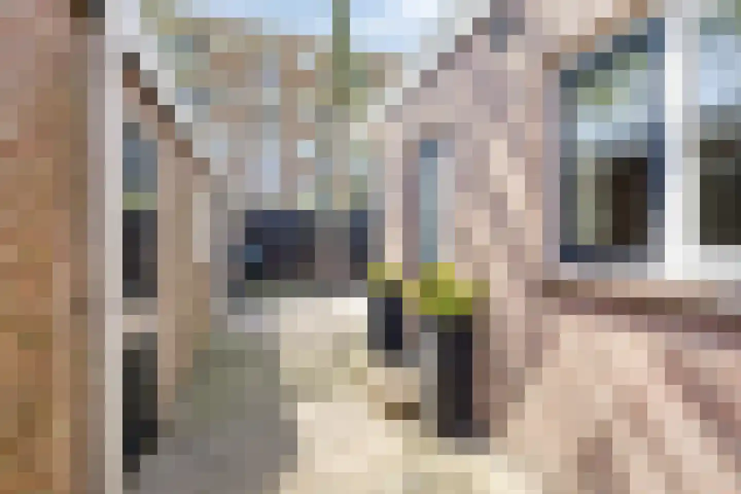 Ankerstraat 26 Epe thumbnail 31
