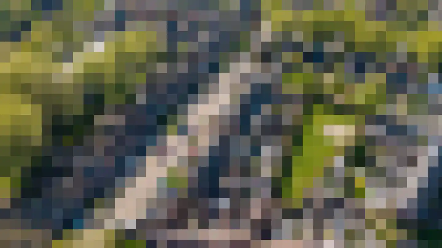 Ankerstraat 26 Epe thumbnail 35