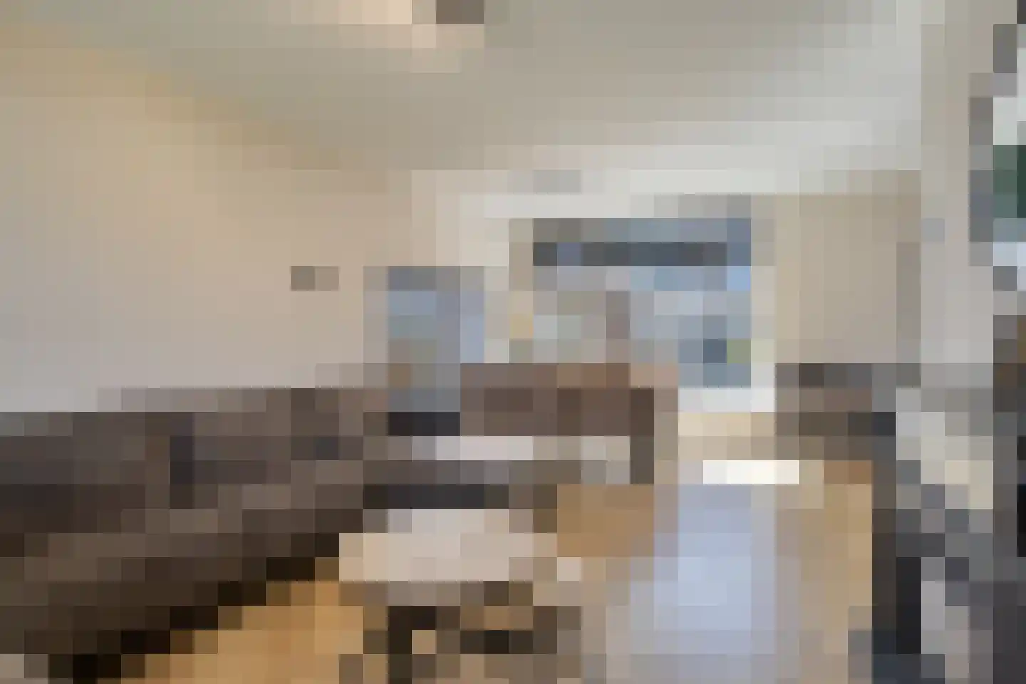 Ankerstraat 26 Epe thumbnail 7