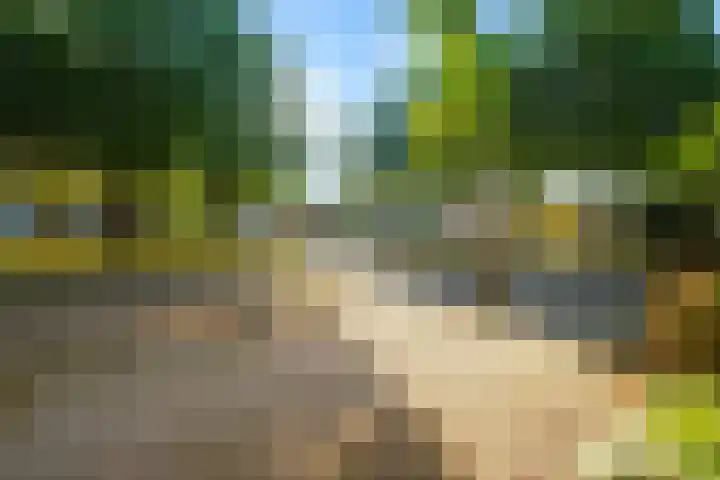 Ankerstraat 27 Dronten foto 2