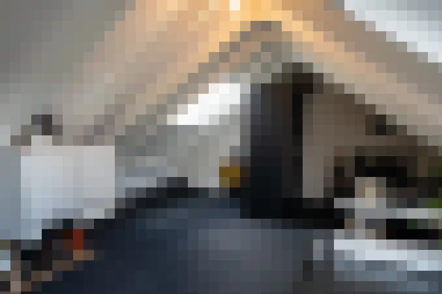 Ankerstraat 3 Oosterend thumbnail 23