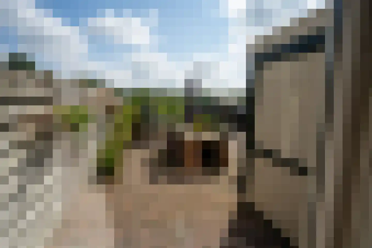 Ankerstraat 3 Oosterend thumbnail 24
