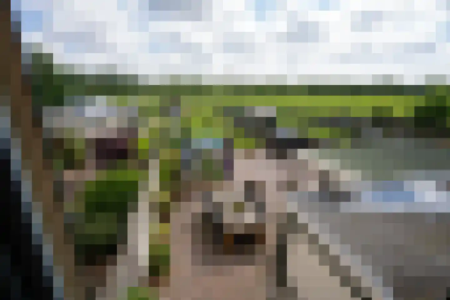 Ankerstraat 3 Oosterend thumbnail 29