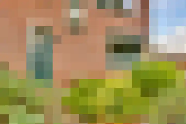 Ankerstraat 36 Dronten thumbnail 11