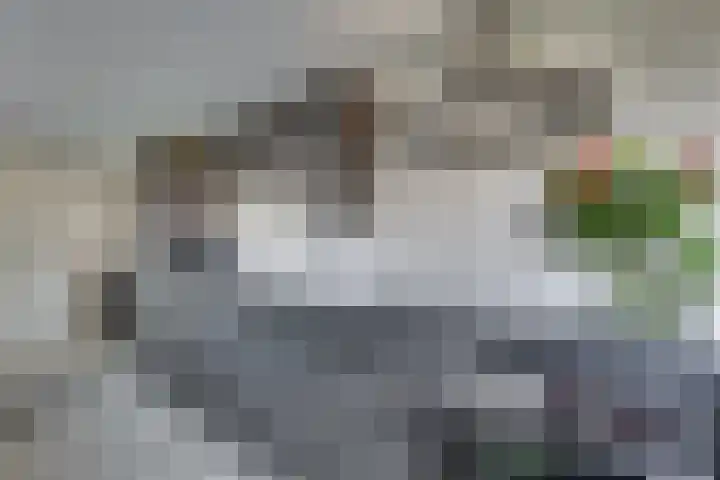 Ankerstraat 36 Dronten thumbnail 23