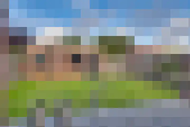Ankerstraat 36 Dronten thumbnail 37