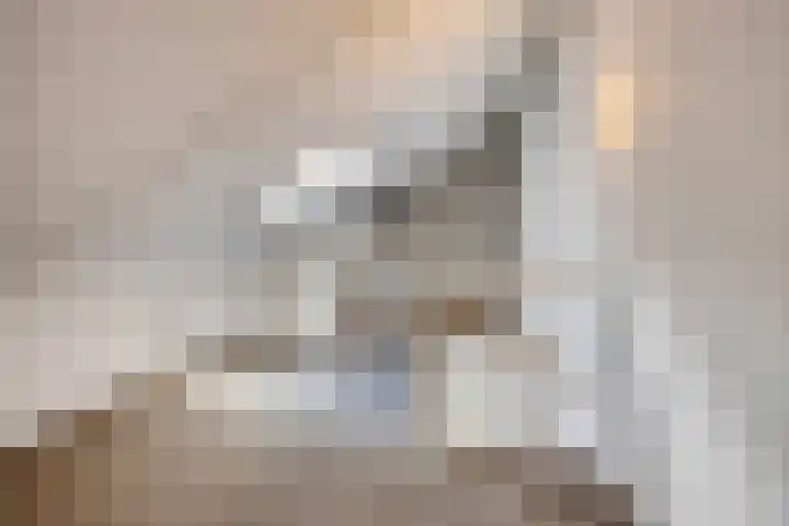 Ankerstraat 36 Dronten thumbnail 38