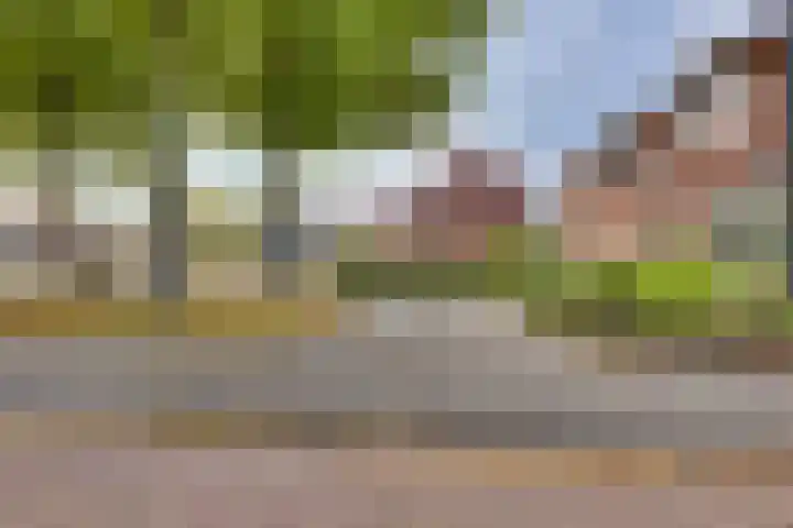 Ankerstraat 36 Dronten thumbnail 45