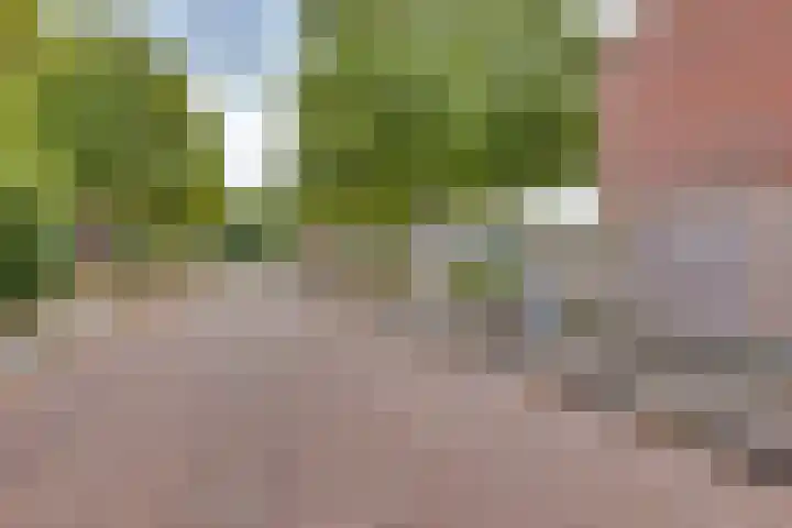 Ankerstraat 36 Dronten thumbnail 46