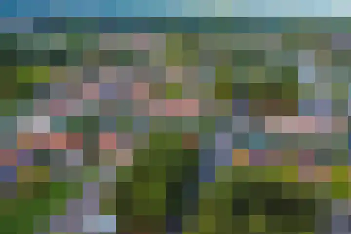 Ankerstraat 36 Dronten thumbnail 6