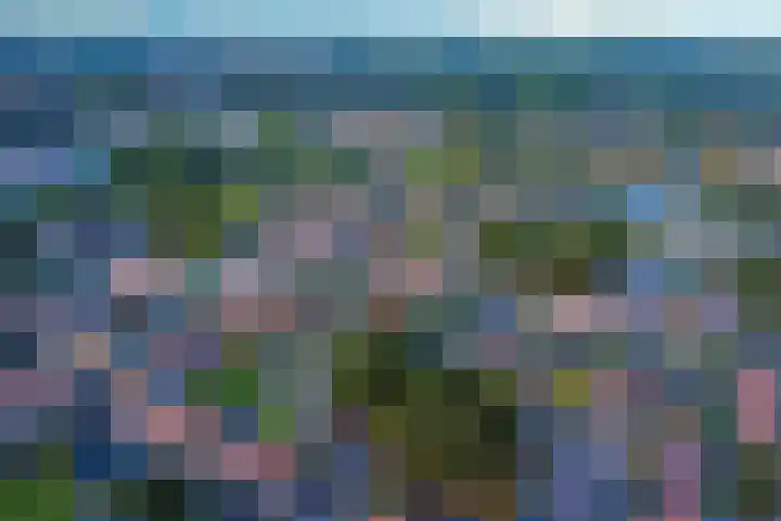 Ankerstraat 36 Dronten thumbnail 7