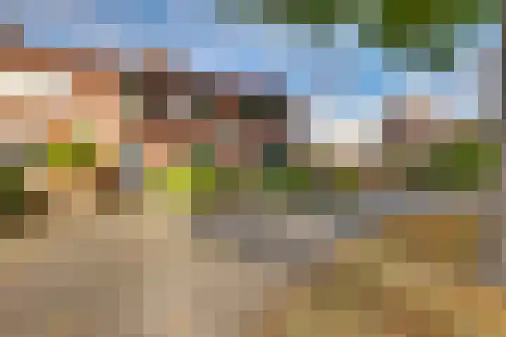 Ankerstraat 36 Dronten thumbnail 8
