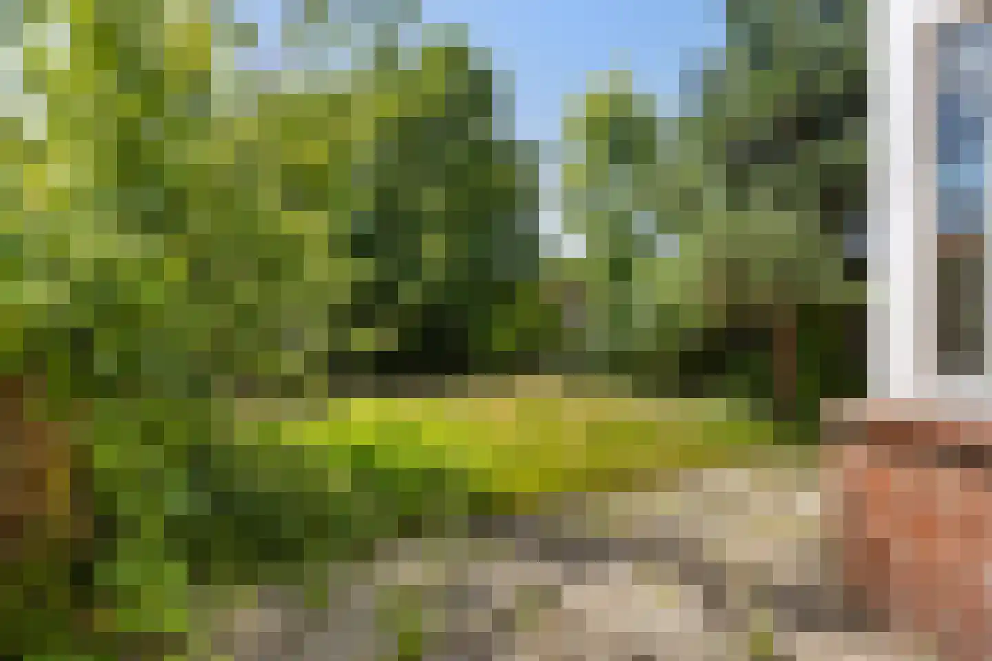 Ankerstraat 38 Delfzijl thumbnail 41