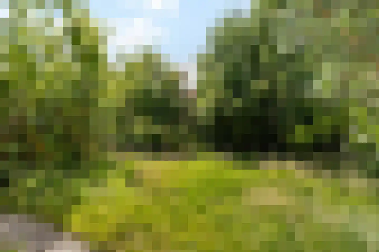 Ankerstraat 38 Delfzijl thumbnail 42