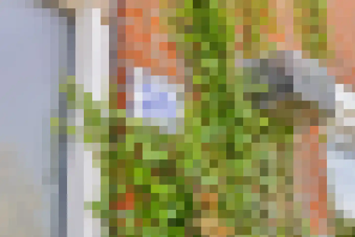 Ankerstraat 38 Delfzijl thumbnail 8