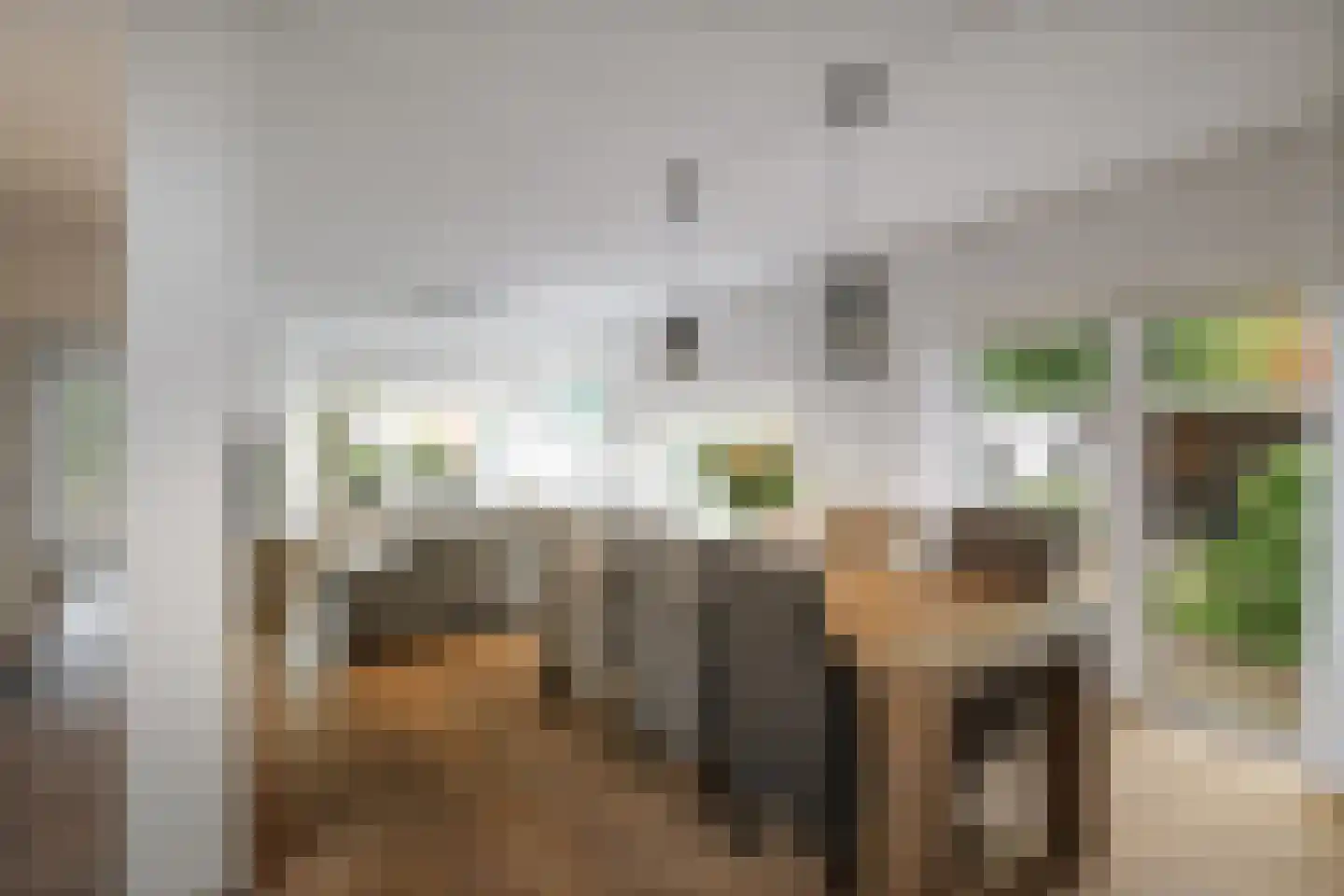 Ankerstraat 42 Epe thumbnail 10