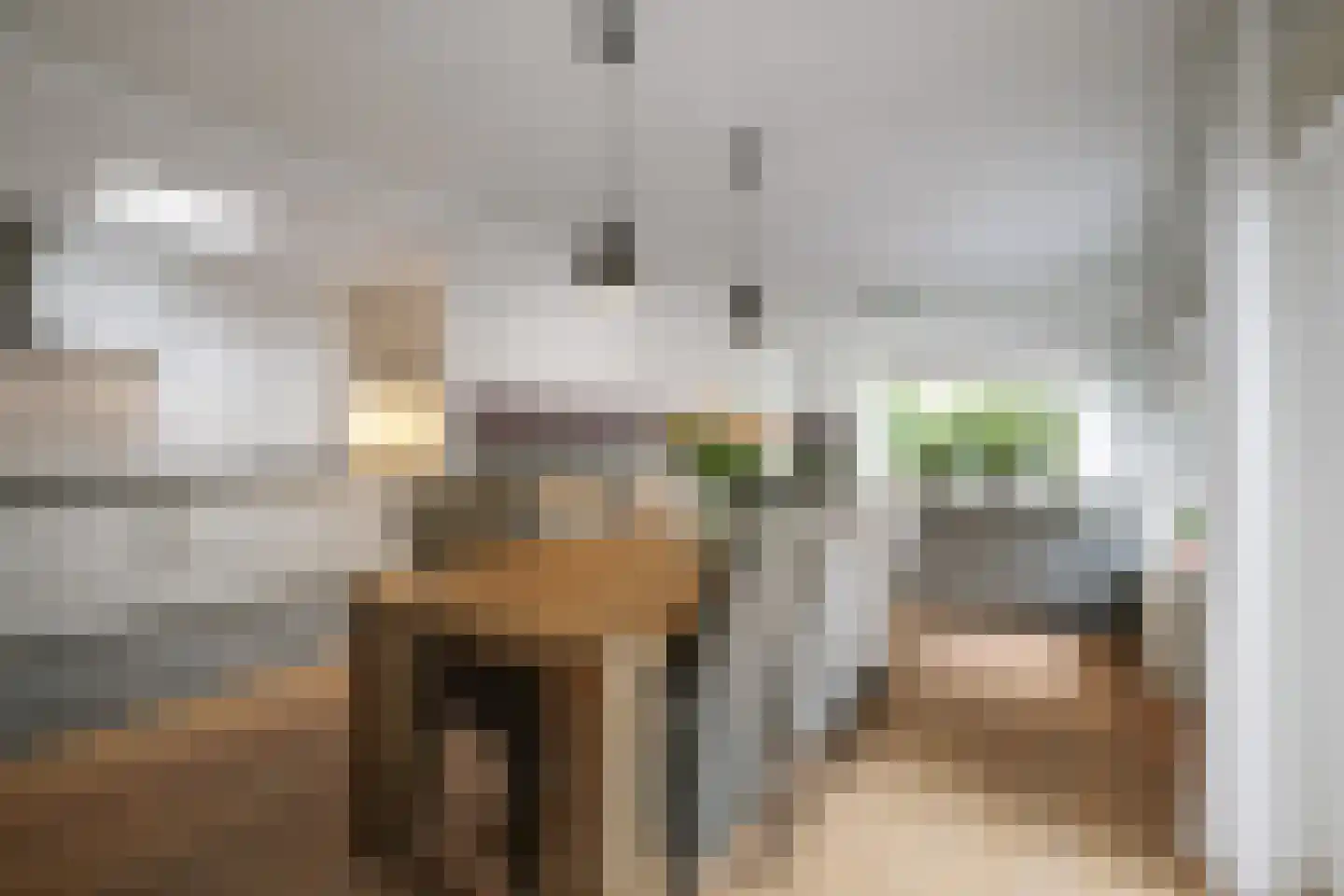 Ankerstraat 42 Epe thumbnail 11