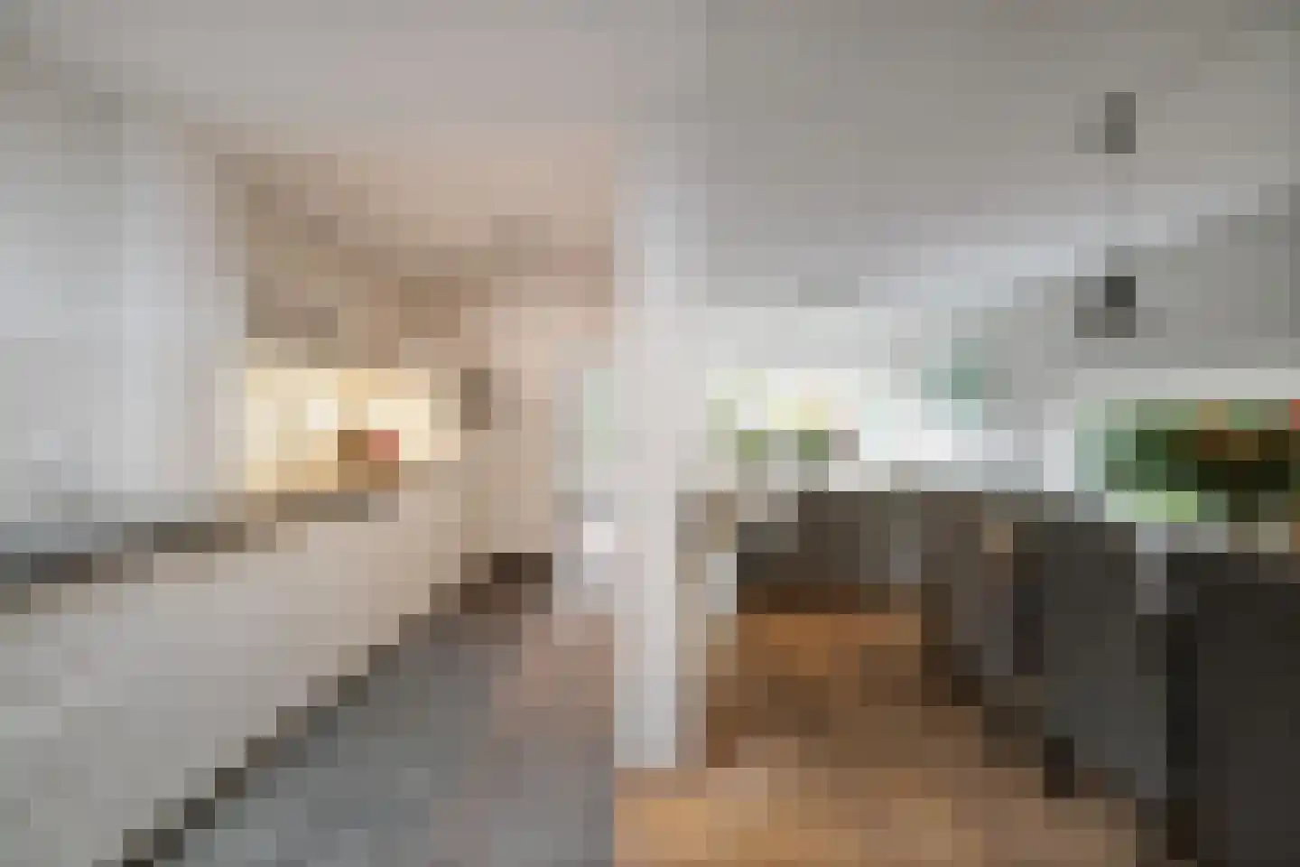 Ankerstraat 42 Epe thumbnail 12