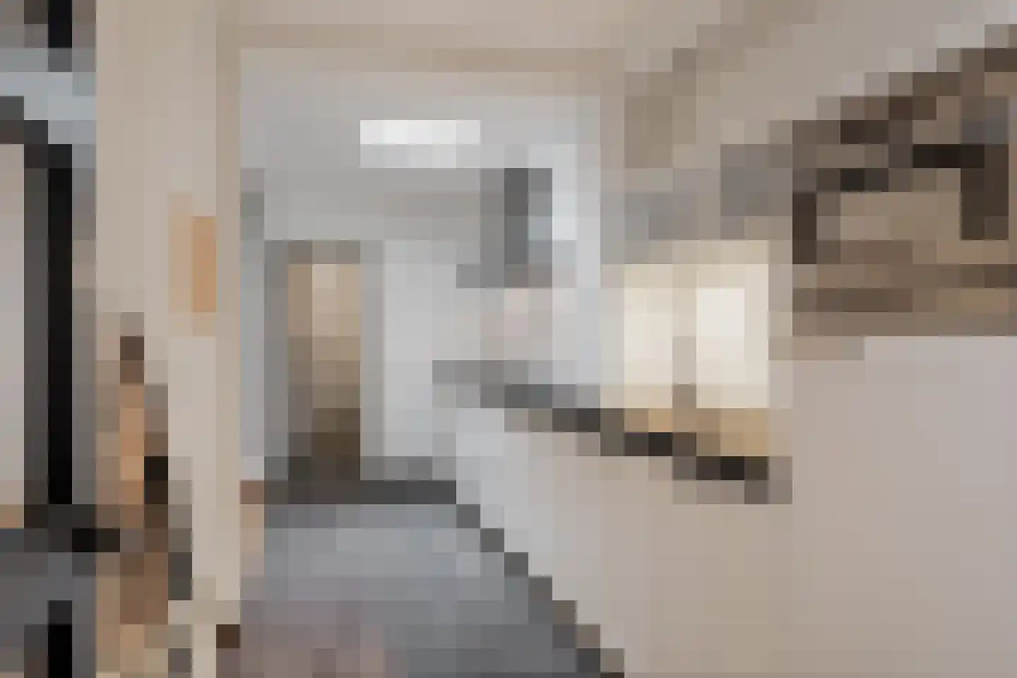 Ankerstraat 42 Epe thumbnail 14