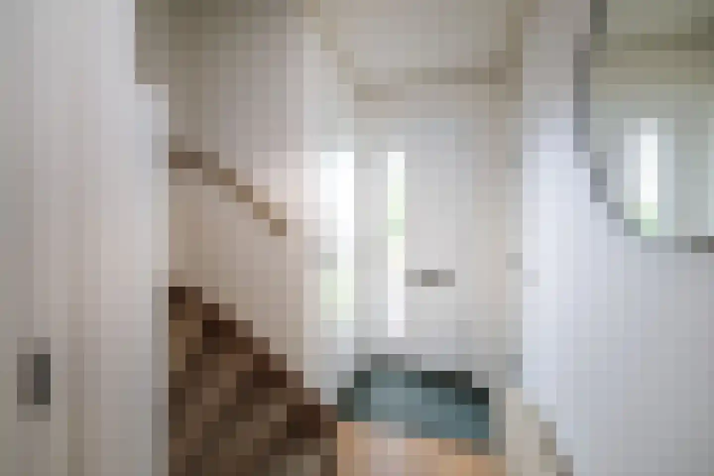 Ankerstraat 42 Epe thumbnail 17