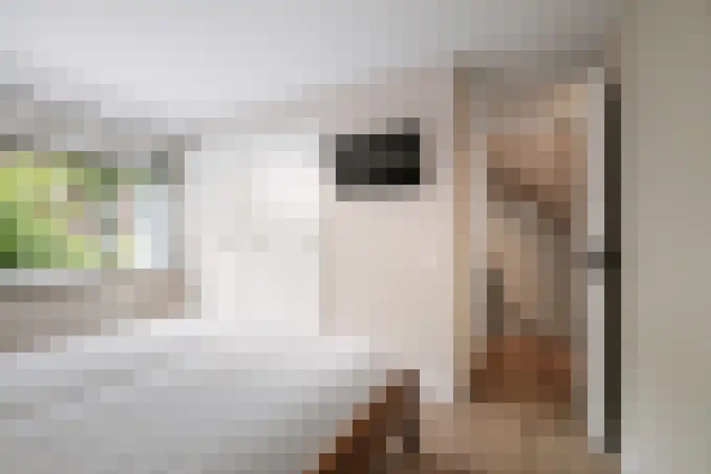 Ankerstraat 42 Epe thumbnail 19